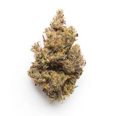 Grow One Deli - Apple Runtz