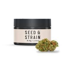 Seed & Strain 3.5g KY Jealous