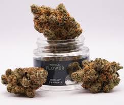 Ghost Dawg | 3.5g
