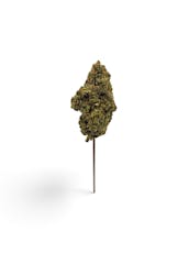 Hella Jelly 1g Hemp Flower