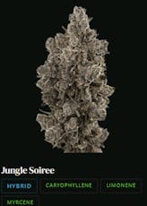 Jungle Soiree | 3.5g