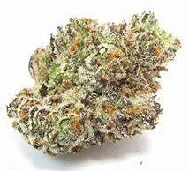 WHITE RAINBOW 3.5G Exotic Flower - Megalodon