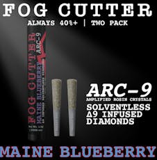 Maine Blueberry Infused Preroll -0.5g 2pk- | 1g