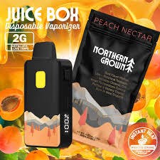 Juice Box | Peach Nectar Disposable | 2g