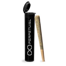Pineapple Bang Bang #1 - Pre Roll | 1g