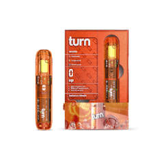 Turn - Wanta Retrovision Disposable 1g