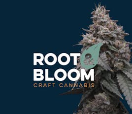 Root & Bloom Sherbie Hancock 28g