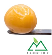 Black Sherbet Runtz Live Rosin Badder | 1g