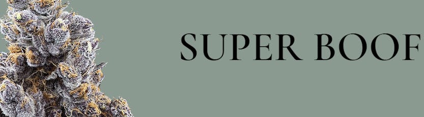 Super Boof | 3.5g