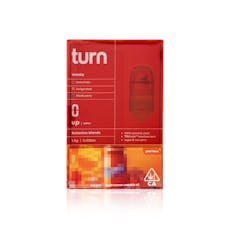 TURN - Vape Pen - Wanta - RetroVision - 1G