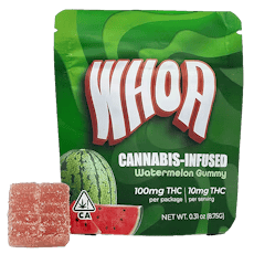 WHOA | Watermelon | Gummies | 100mg | Hybrid