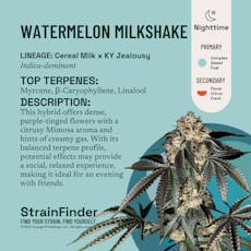 Watermelon Milkshake | 3.5g