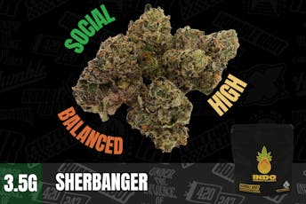 3.5g Sherbanger "INDO" (Indoor Smalls) - Humble Root