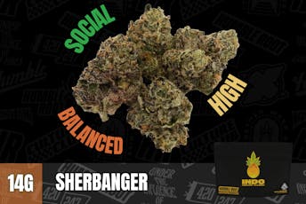 14g Sherbanger "INDO" (Indoor Smalls) - Humble Root