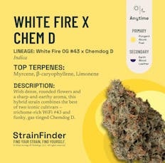 White Fire x Chem D | 3.5g