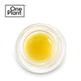 One Plant Live Jam Rosin 1g - Blueberry Muffin