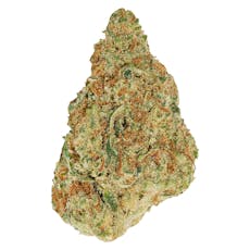 Winter Frost (Northern Berry x Powdered Donuts)