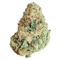 BC Organic Lime Drizzle (Caviar Lime x Papaya Dawg)