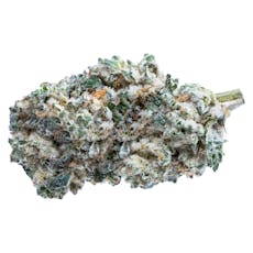 KUSH BREATH (GSC x (Durban P x OG Kush)