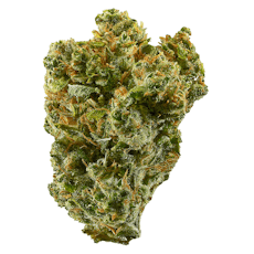 SUPER SILVER HAZE (Skunk x Northern Lights x Haze)