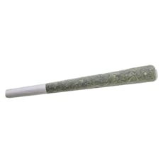 Purple Octane (Biscotti x SherbBX1) x (Jealousy F2) Pre-Roll