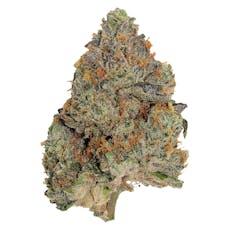 Blue Zushi (Zkittlez x Kush Mints)