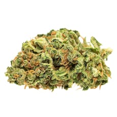 Jean Guy (White Widow Phenotype)