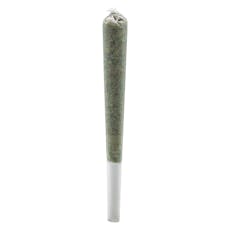 Rosin Roll (Pink Drip) Infused Pre-Roll