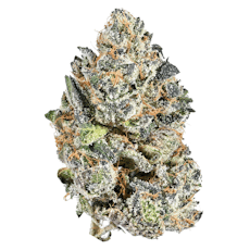 INDICA (Triple Burger)