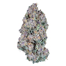 Blue Gumdrops (Zushi x Clase Azul)