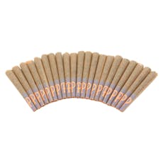 Gelato 41 (Sherbet x Thin Mint Cookies) Pre-Roll