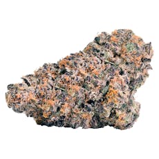 Rainbow P (Grand Blueberry Pie x Zkttlez)