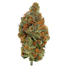 BC Organic Mandarin Zktz (Black Roze x Mandarin Sunset R1)
