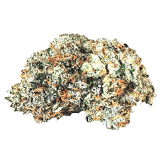 Gas N' Up (Venom OG x Humboldt OG)