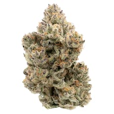 The Collective Oz: Berry Rampage (Gorilla Runtz x Fruitsicle)