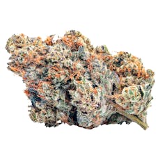 Yuck Mouth (GMO Cookies x Do-Si-Dos)