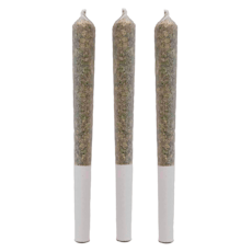 Rainbow Marker (RS11 x Permanent Marker) | 3x0.5g