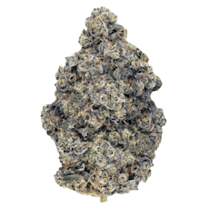 33 SPLITTER (Gelato x Atom Splitter) Craft Flower