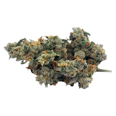 Bluenose Berry (Grape Pie x Jet Fuel Gelato)