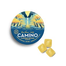 Camino | Gummies | Balance | Yuzu Lemon | 20 Count