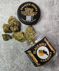 Blackbird Gardens - Galactic Guava - Flower - 3.5g