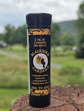 Blackbird Gardens - Galactic Guava - 2pk Preroll - 1g