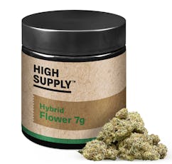 Gelato Zafari | 7g | Hybrid