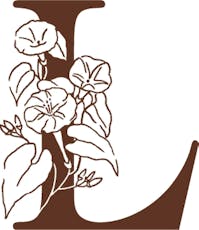 Leal - Death Star OG - 28g Flower