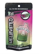 Water 'Yer Melon 1.0 g Cloud Bar All In One Disposable