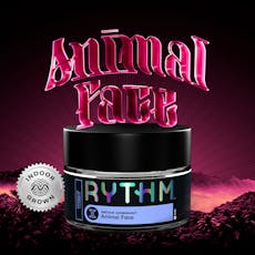 Rythm - Animal Face - 3.5g Premium Flower