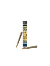 Revert | Infused Pre Rolls | Golden Berry | Sativa | .75g 2pk
