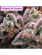 Budding Bliss Farm | Grapes N Cream | Flower 3.5g