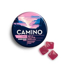 Camino | Chill | Wild Berry Gummies | 100mg