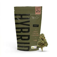 1937 | Flower | Petrol Station | Hybrid | 14g